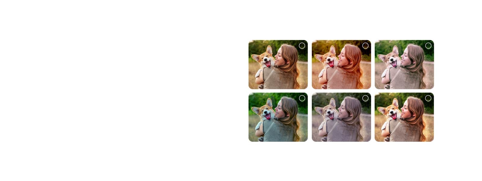 LG OLED C5 AI Picture Wizard