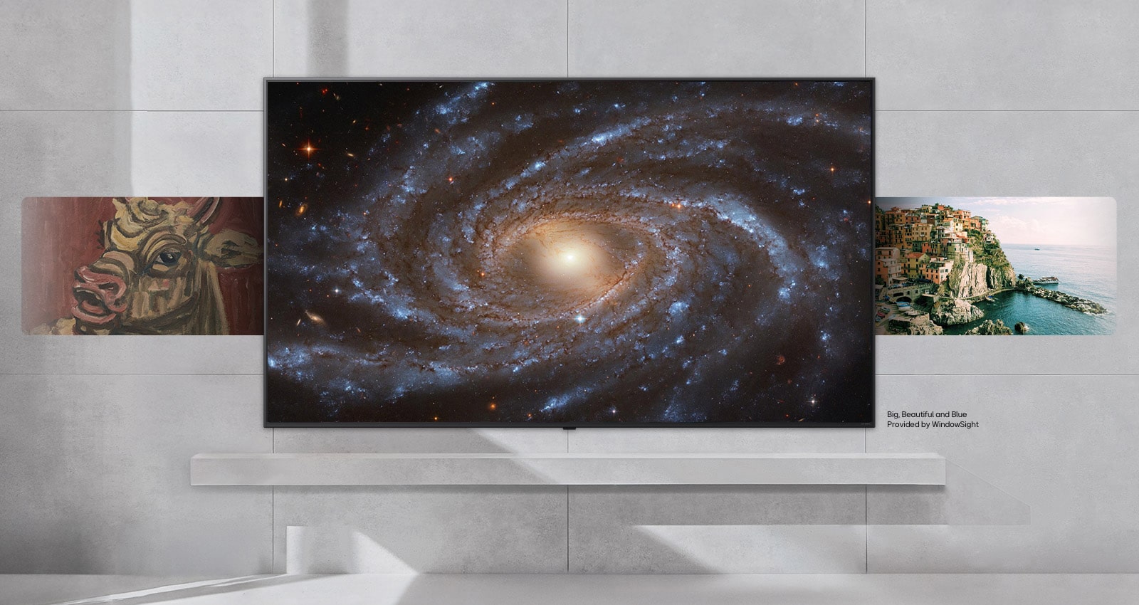 LG OLED C5 Gallery Plus